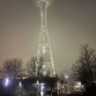 This fog is kind of creepy at night