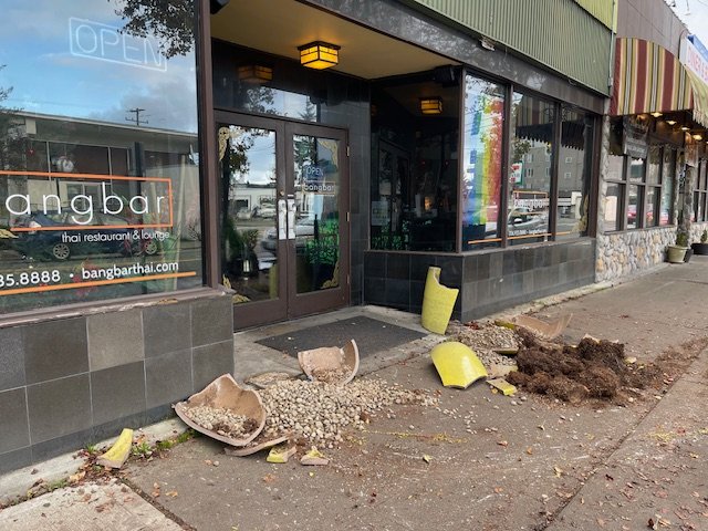 WEST SEATTLE CRIME WATCH: Planters destroyed