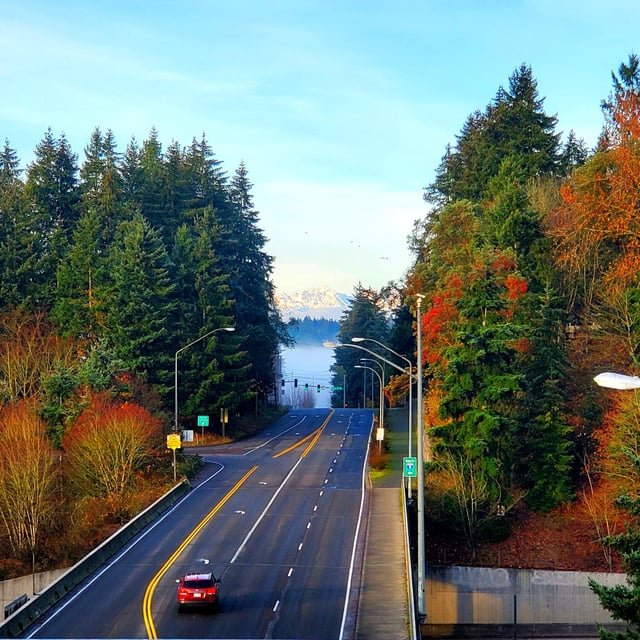 Happy Thanksgiving! Guess where this morning’s view is?