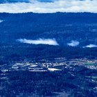 Happy Thanksgiving Seattle!