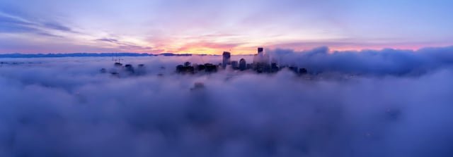 Foggy Thanksgiving 2024