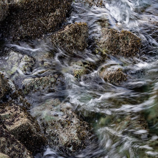 Many West Seattle ways to shop Small Biz Saturday, plus what else is happening today/tonight