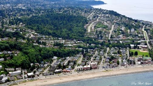 Restoring Schmitz Preserve Park Creek: Next step! And you’re invited