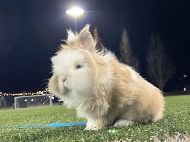 I’m never leaving Seattle.