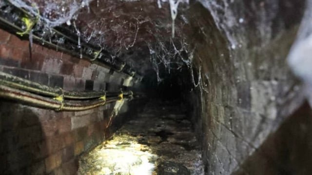 Sewer overflow violations cost Seattle, King County thousands of dollars