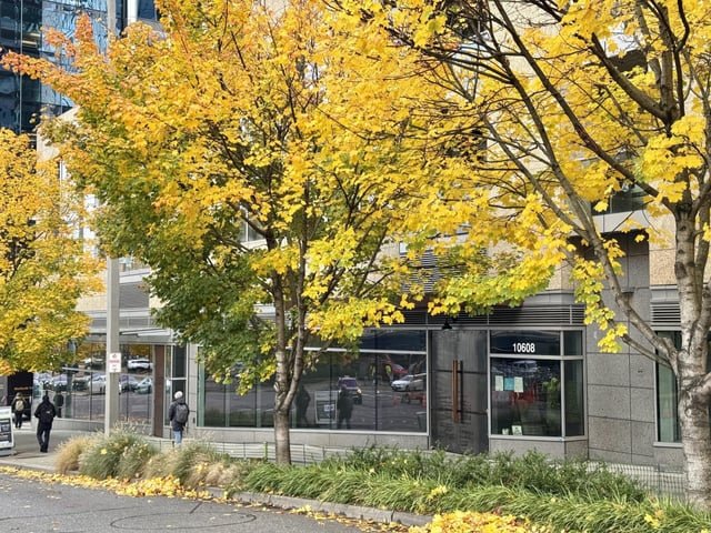 American Pub, Rascals Public House, Opens in Bellevue