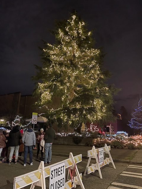 VIDEO: Our Lady of Guadalupe ‘Lights Up the Night,’ with celebration additions