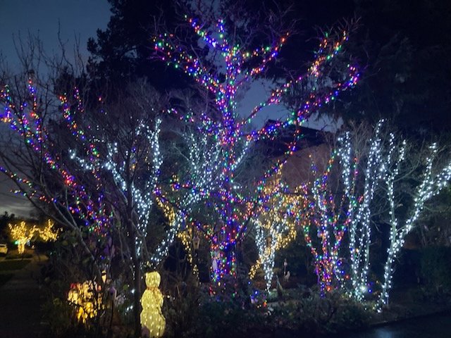 TONIGHT’S LIGHTS: Branching out in North Admiral