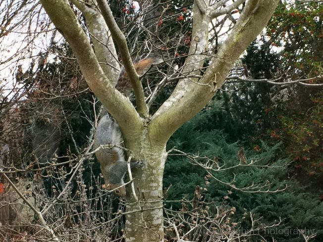WEST SEATTLE SUNDAY: 14 notes!