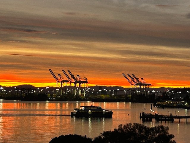 ‘Light Up the Night,’ movies, theater, music, Winter Wander, much more for your West Seattle Friday!