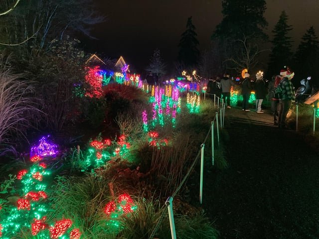 Garden d’Lights at Bellevue Botanical Garden