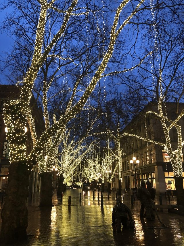 Occidental Square in the rain in December