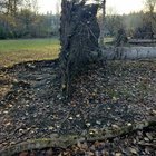 Matthews Beach Park took some serious damage