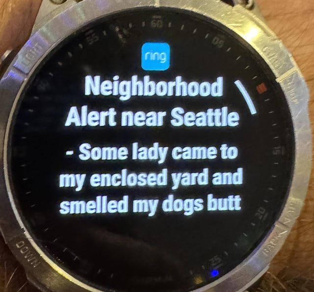 I’m never leaving Seattle!