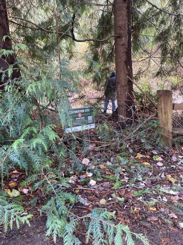 Except this guy, he’s special