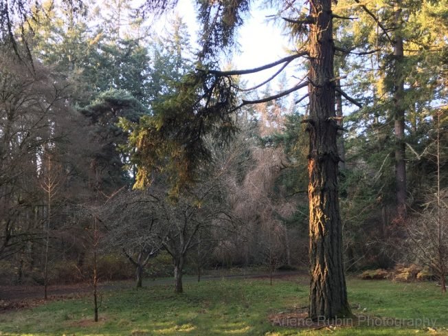 Shop Late Thursday with music, ‘Rake’s Progress’ at CSIHS, Thriftway ‘Taste,’ Book Club, police meeting, much more for your West Seattle Thursday