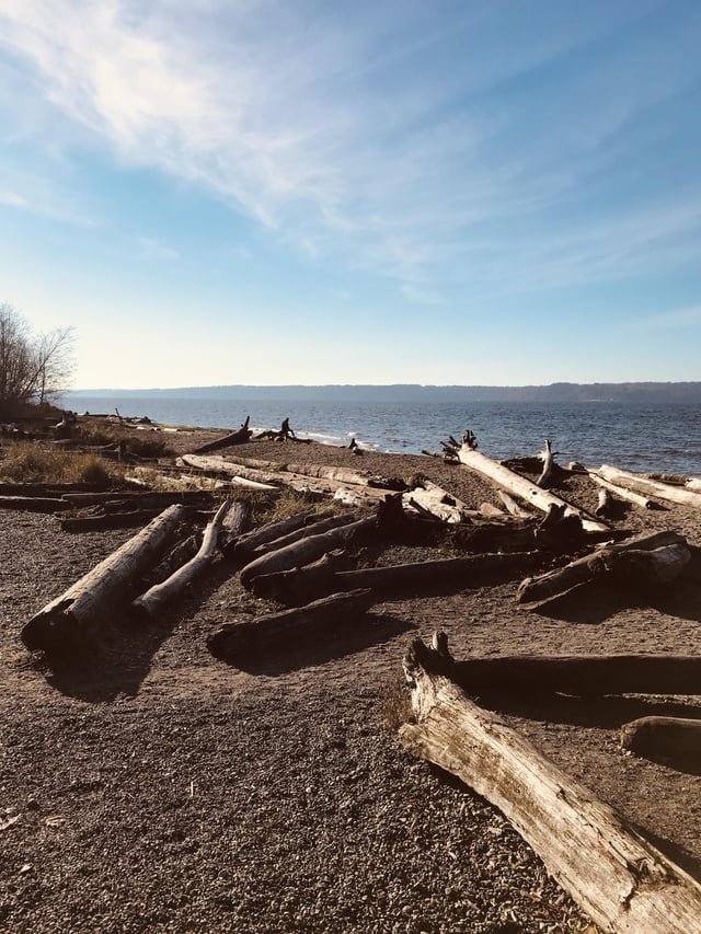 Free Vitamin D for Everyone.