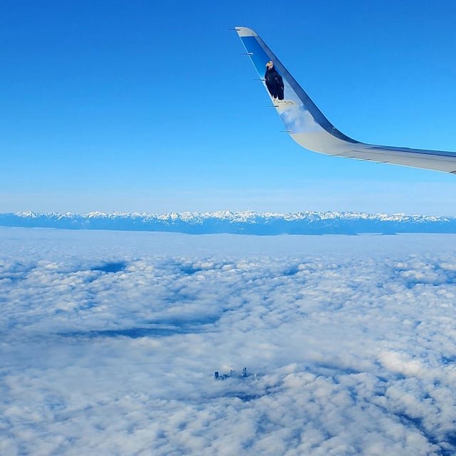 What are you all doing down there in the clouds?