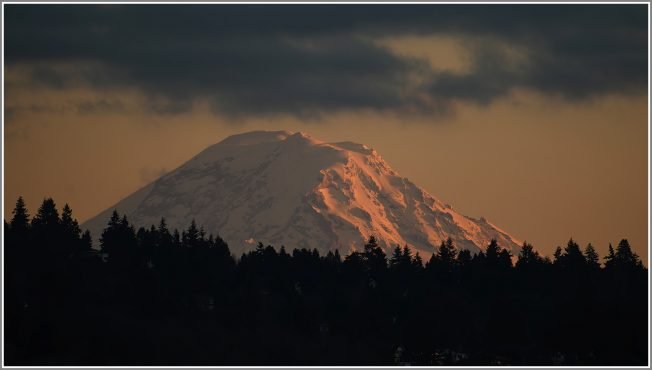 WEST SEATTLE SATURDAY: 22 notes!
