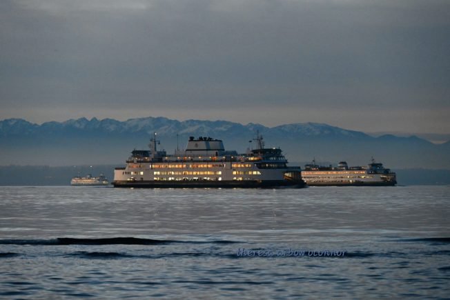 FERRIES: Annual report shows Fauntleroy-Vashon-Southworth ridership rose, as did systemwide use