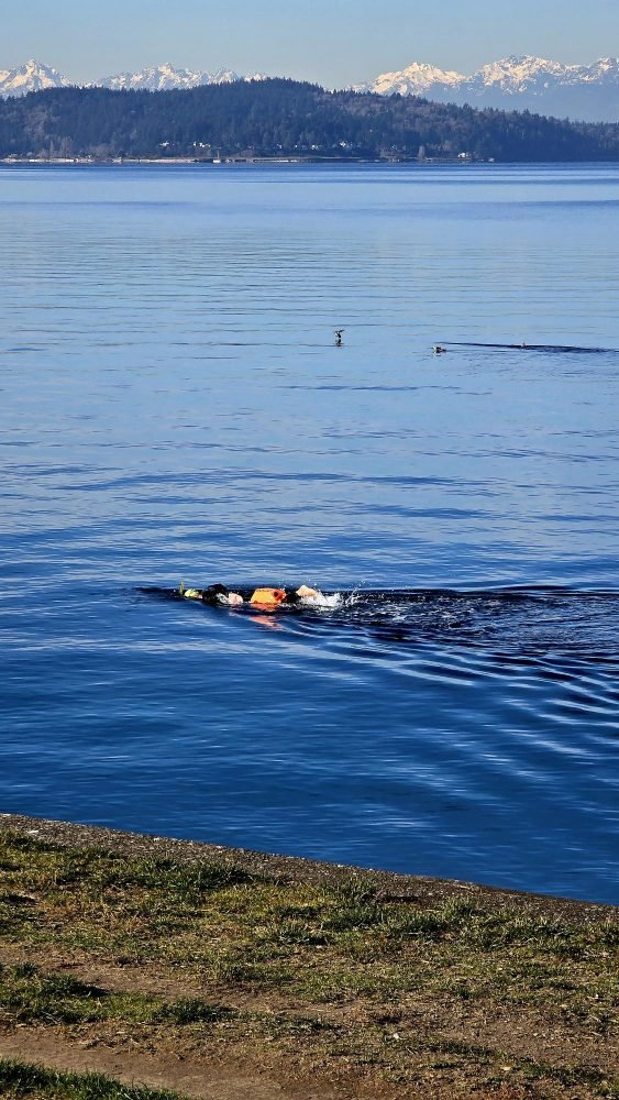 Story time, trivia, support, more on the list for your West Seattle Monday