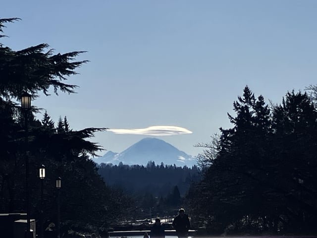 I love the word “lenticular”. Fun to say. LEN-TI-CU-LAR.