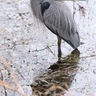 Green Lake 01.14.2025