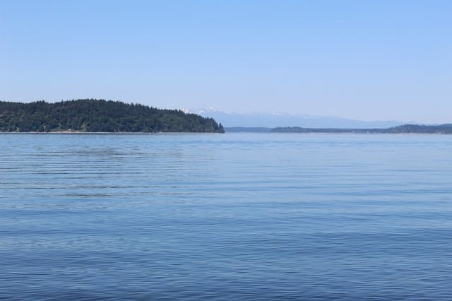 Washington state bans commercial finfish net pen farms