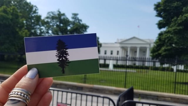 In honor of today, free Cascadia sticker bundles for whoever would like them. Also bringing back bulk 50 bundles pre-order.