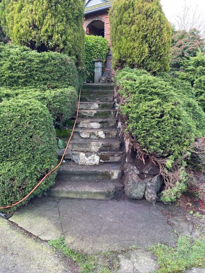 FOLLOWUP: West Seattle neighbors replace what a driver took away