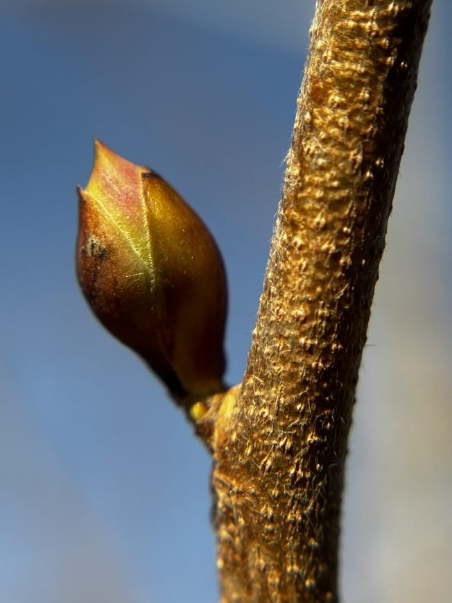 WEST SEATTLE SATURDAY: 26 notes!