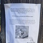 Whoever is Doing This, Please Don’t Stop