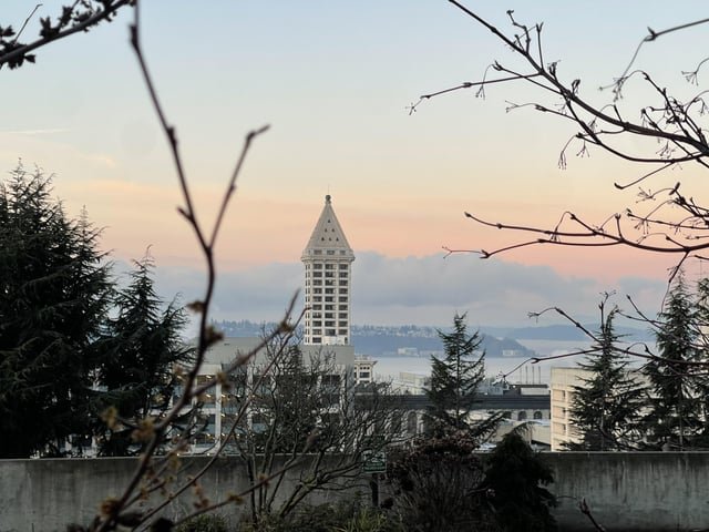 View of Smith Tower this morning