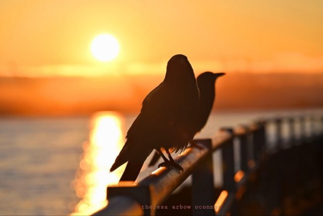 School tours/open houses, The Gits @ Easy Street, Kids’ Karaoke @ Skylark, more for your West Seattle Thursday