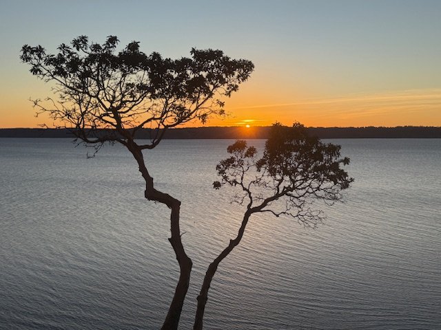 WEST SEATTLE WEEKEND SCENE: First 5 pm sunset of 2025