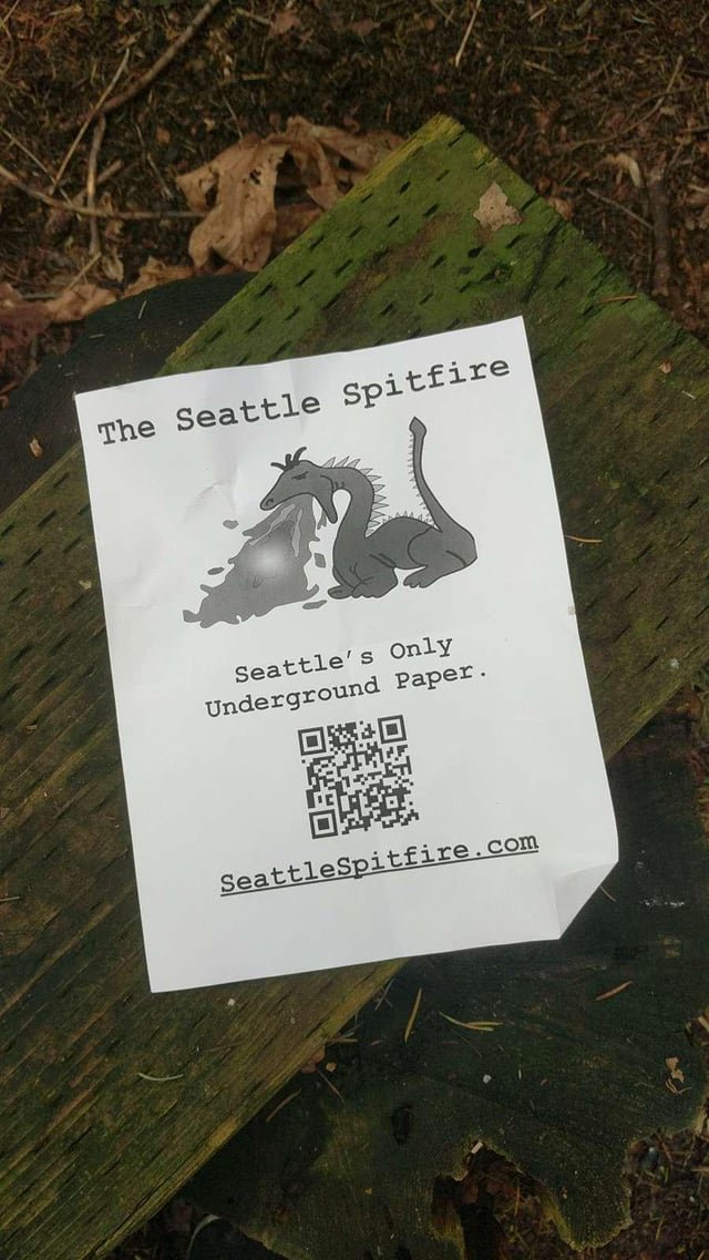 Spotted in north seattle