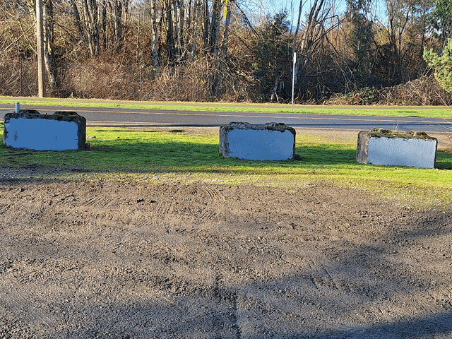 Update to Swastikas In Issaquah!