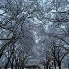 Beautiful Green Lake @7:30am