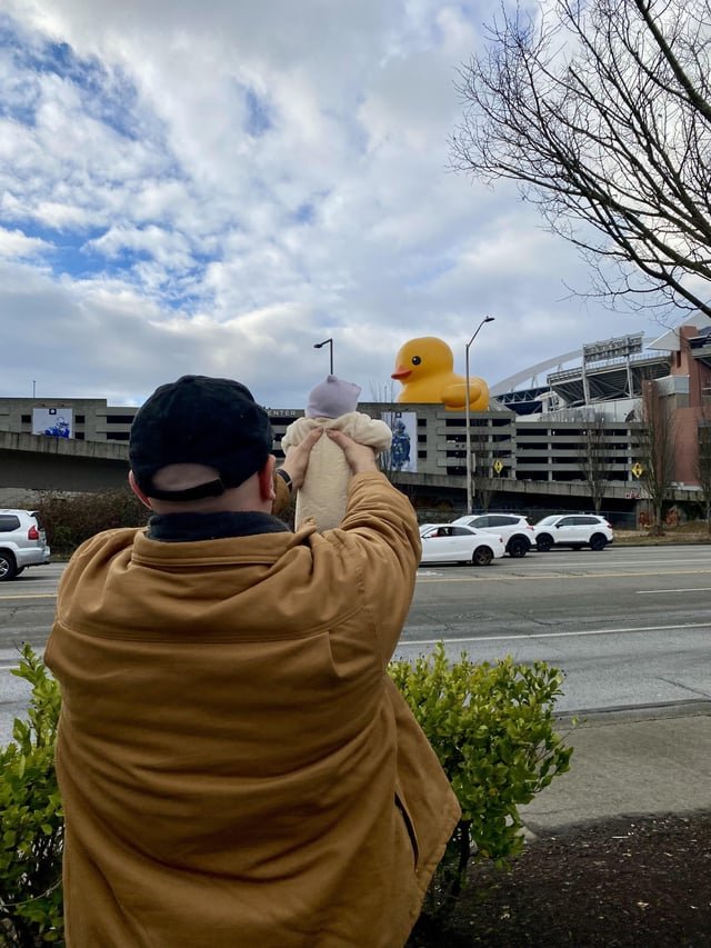 Showed my baby the 61 ft rubber duck at Lumen Field
