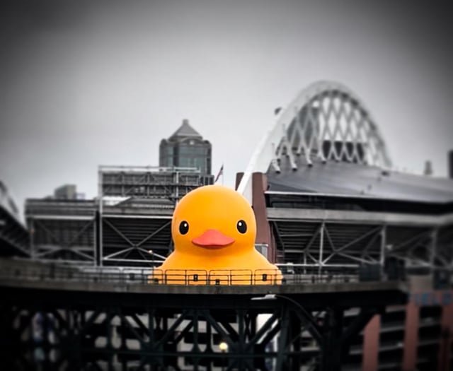 See you later, Seattle Quacken!