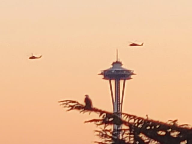 Cool shot to end the day