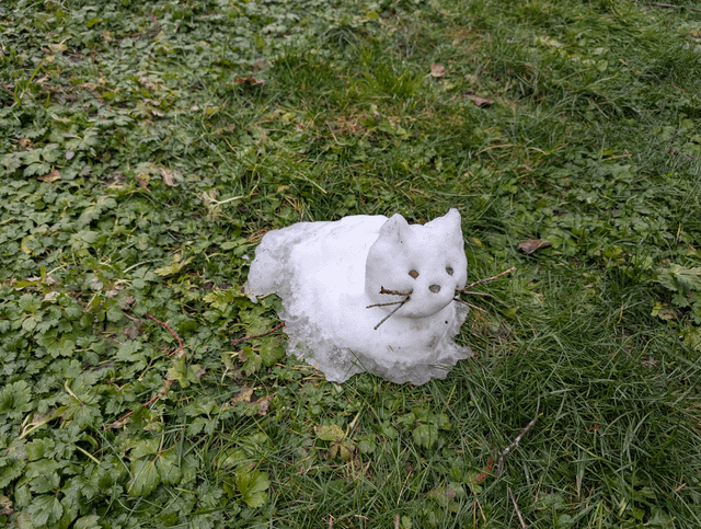 Shout out to whoever built this snow cat at St. Edwards state park, enjoying the artistry