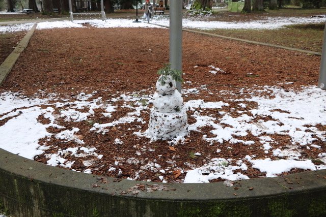 WEST SEATTLE SNOW: Afternoon updates, with two weather alerts