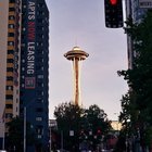 Some film photos I took last fall