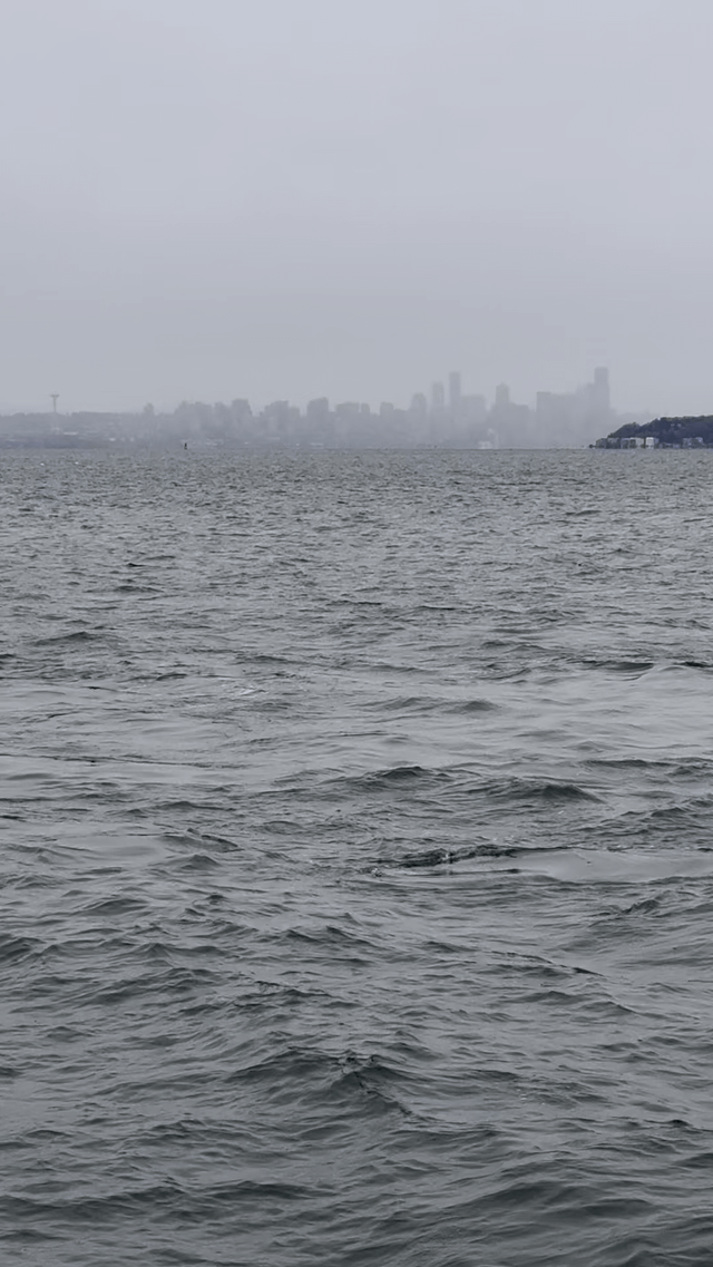 Seattle in the background