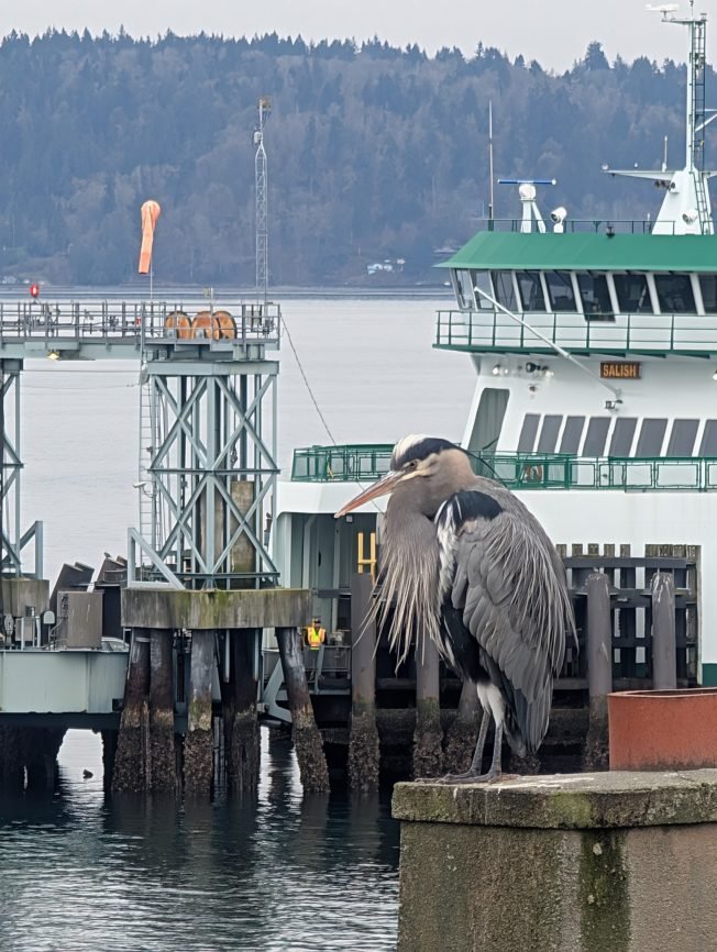 Theater, music, walking, running, more for your West Seattle Thursday