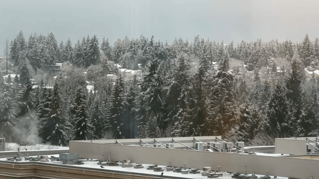 Winter Wonderland ☃️