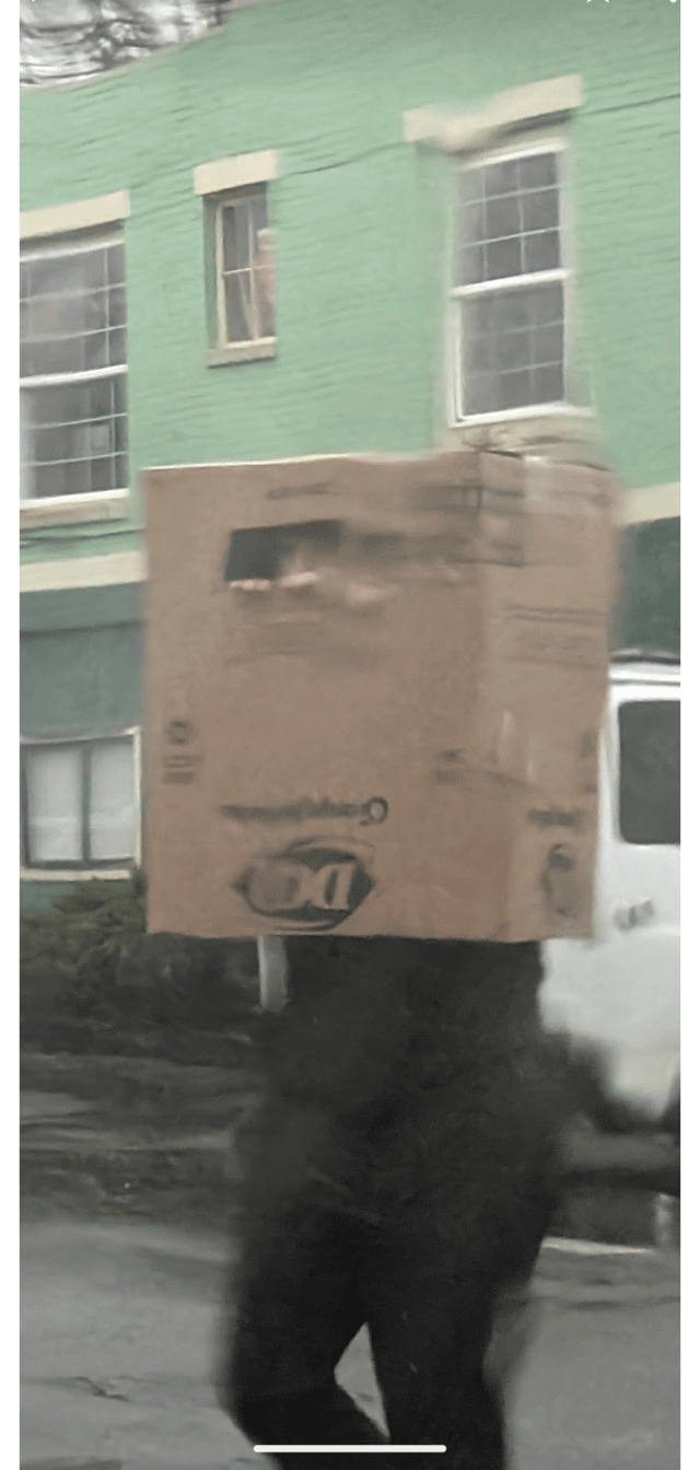 I swear y’all will use anything except an umbrella