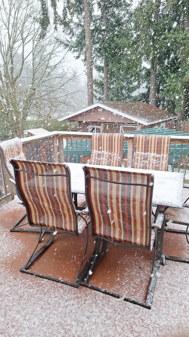 The snow is really starting to stick. This from the Newport Hills area.