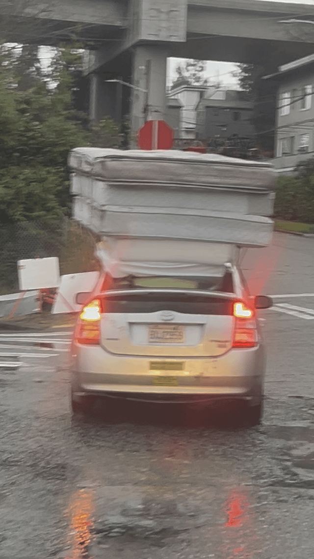 The Princess and the Prius! What is the plot of this fairytale?